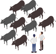 Struggling to secure stable supply and adequate volume