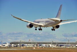 Global Taste, Born in Nagoya