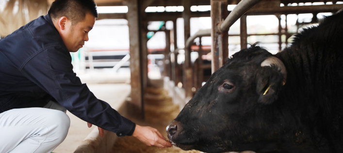 和牛への想い